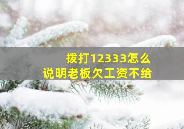 拨打12333怎么说明老板欠工资不给