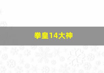 拳皇14大神