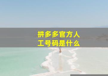 拼多多官方人工号码是什么