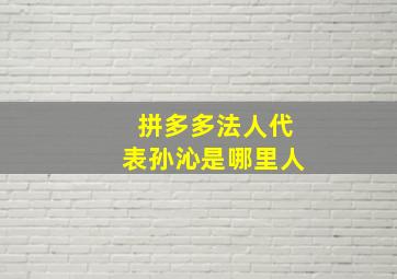 拼多多法人代表孙沁是哪里人