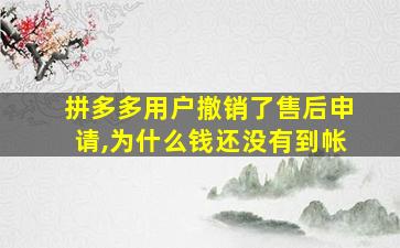 拼多多用户撤销了售后申请,为什么钱还没有到帐