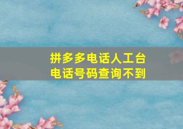 拼多多电话人工台电话号码查询不到