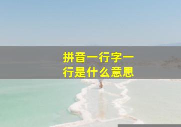 拼音一行字一行是什么意思