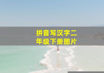 拼音写汉字二年级下册图片