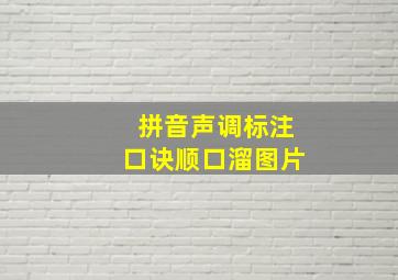 拼音声调标注口诀顺口溜图片