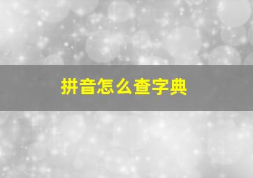 拼音怎么查字典