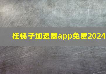 挂梯子加速器app免费2024