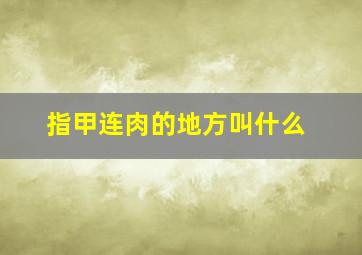 指甲连肉的地方叫什么