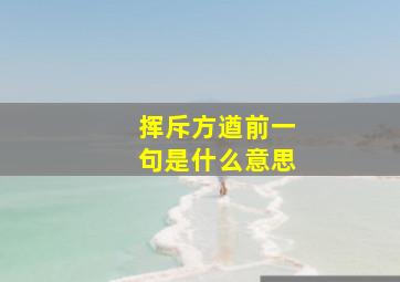 挥斥方遒前一句是什么意思