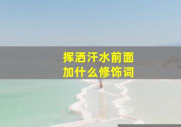 挥洒汗水前面加什么修饰词