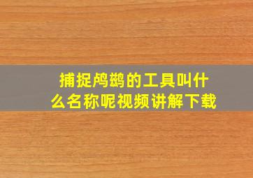 捕捉鸬鹚的工具叫什么名称呢视频讲解下载