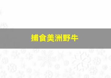 捕食美洲野牛