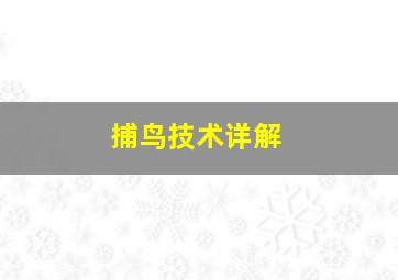 捕鸟技术详解