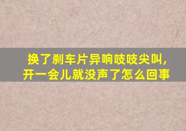 换了刹车片异响吱吱尖叫,开一会儿就没声了怎么回事