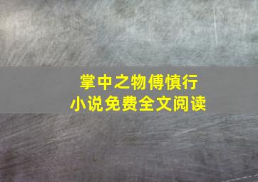 掌中之物傅慎行小说免费全文阅读