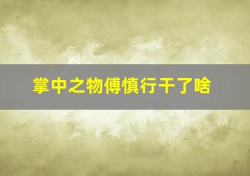 掌中之物傅慎行干了啥