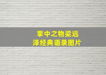 掌中之物梁远泽经典语录图片