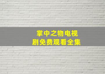 掌中之物电视剧免费观看全集