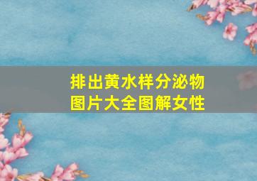 排出黄水样分泌物图片大全图解女性