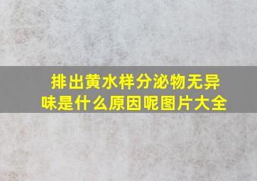 排出黄水样分泌物无异味是什么原因呢图片大全