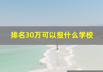 排名30万可以报什么学校