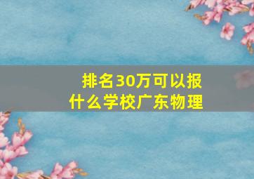 排名30万可以报什么学校广东物理