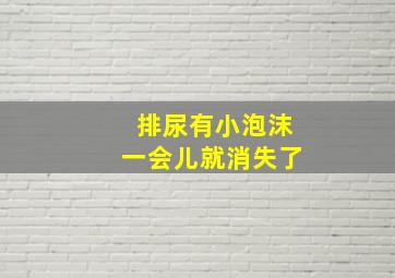 排尿有小泡沫一会儿就消失了