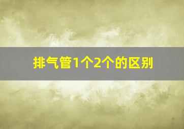 排气管1个2个的区别