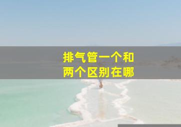 排气管一个和两个区别在哪