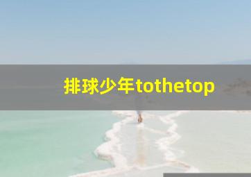 排球少年tothetop