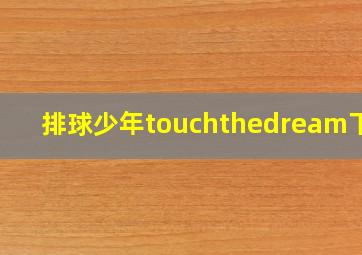 排球少年touchthedream下载