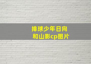 排球少年日向和山影cp图片