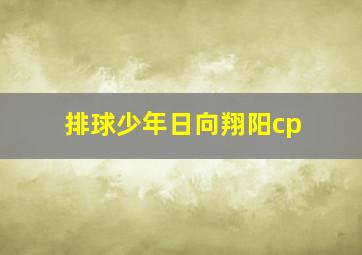 排球少年日向翔阳cp