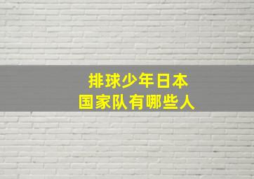 排球少年日本国家队有哪些人