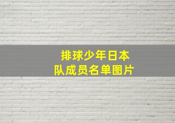 排球少年日本队成员名单图片