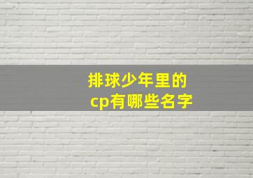 排球少年里的cp有哪些名字