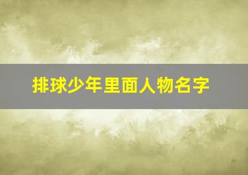 排球少年里面人物名字