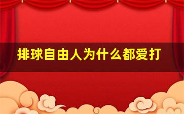 排球自由人为什么都爱打