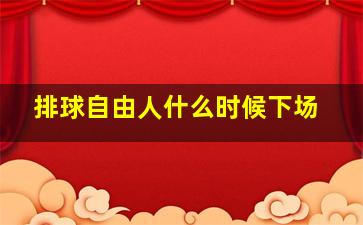 排球自由人什么时候下场