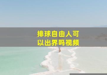 排球自由人可以出界吗视频