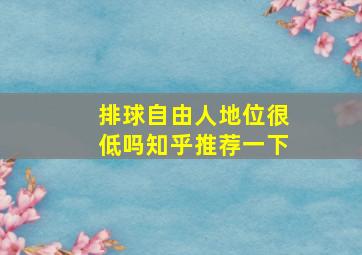 排球自由人地位很低吗知乎推荐一下