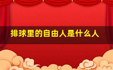 排球里的自由人是什么人