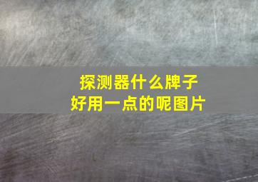 探测器什么牌子好用一点的呢图片