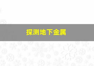 探测地下金属