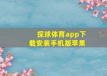 探球体育app下载安装手机版苹果