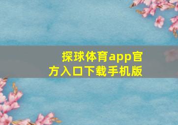 探球体育app官方入口下载手机版