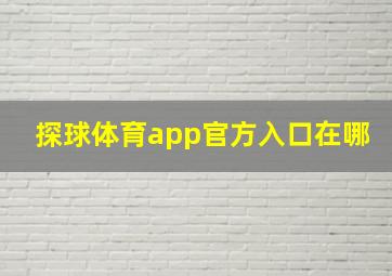 探球体育app官方入口在哪