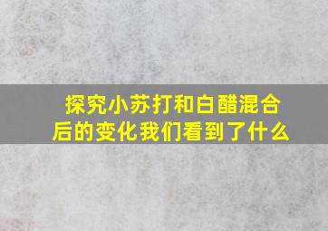 探究小苏打和白醋混合后的变化我们看到了什么