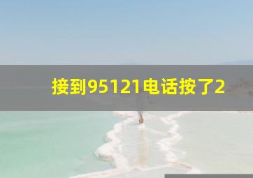 接到95121电话按了2