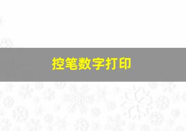 控笔数字打印